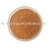 Green Tea Extract (Tea Polyphenols