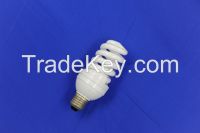 Spiral Fluorescent Light Bulbs