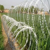 Razor Barbed Wire