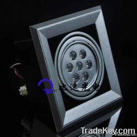 LED Gall light BQ-D001