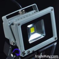 10W LED Flood Light