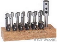 21pcs Inerchangeable Pilot Counterbore Sets