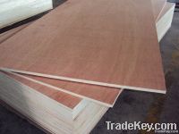 Commercial plywood