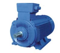 Y2 Series Three Phase Motor