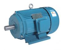 Y Series Three Phase Motor