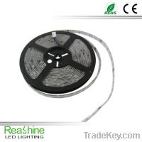 Led Flexible Strip Light