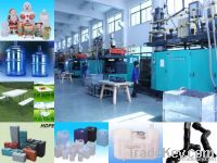 Customer Blow Moulding Service (plastic blow moulding process)