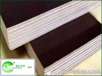 brown film faced plywood