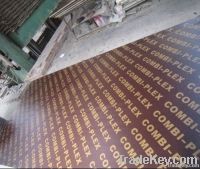 brown dynea film faced plywood