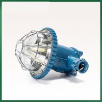 DGS18W Explosion-proof tunnel light underground mining light gas station light