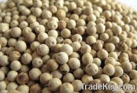 white pepper