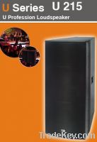 Two-way Louderspeaker System U215