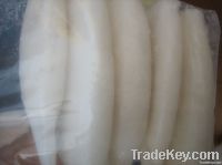 Frozen Squid Tube(todarodes)