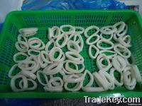 Frozen Squid ring