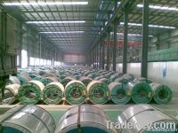 galvanized steel coil