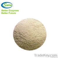 Acid Protease Powder Enzyme