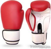 Boxing Glove
