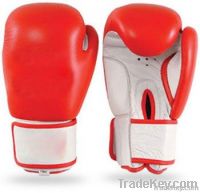 Boxing Glove