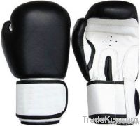 Boxing Glove