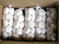 Pure White Garlic
