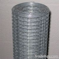 Welded Wire Mesh (HY-HWWM-3008)