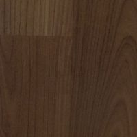 American Walnut