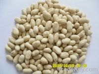 Blanched peanut kernels