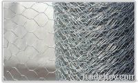 Hexagonal Wire Mesh
