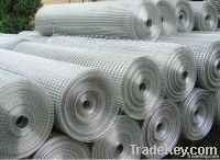 Welded Wire Mesh