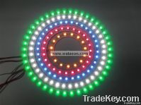 Led Angel eye D50-WG-15SMD-3528 car light