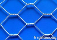 Hexagonal Wire Netting