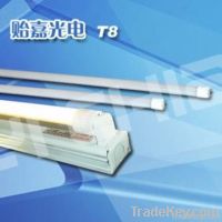 2 Feet LED T8 Fluorescent Lamp