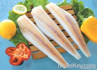 Frozen Aquatic Product:Salmon, Pollock, Cod