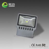 LED Projection Light (floodlight) From China