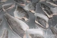 frozen sea bass fish fillet