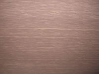 Marble : Serpenggiante (Chinese Sandstone