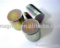 NdFeB Permanent magnet products