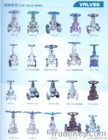 gate/butterfly/ball/plunger/needle valves and pumps