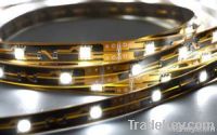 5050 SMD Flexible Strip