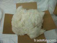 Raw cotton