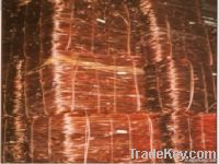 Copper Scraps Suppliers | Copper Scrap Exporters | Copper Scrap Manufacturers | Cheap Copper Scrap | Wholesale Copper Scraps | Discounted Copper Scrap | Bulk Copper Scraps | Copper Scrap Buyer | Import Copper Scrap | Copper Scrap Importers | Copper Scrap 