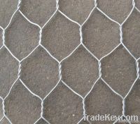 Hexagonal Wire Mesh