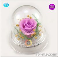 Wholesale Yunnan Preserved Flower Gift