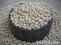 Blanched peanut kernels