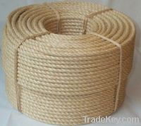 https://cn.tradekey.com/product_view/211927-24-strand-Nylon-Double-Braided-Rope-4035438.html