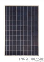 230W poly solar panel