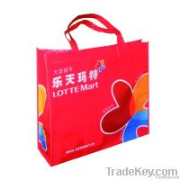 Eco-friendly PP non woven bag