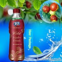 500ml Bottle Wild jujube drink