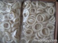 supply squid ring