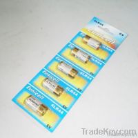 6V 4LR44 PX28A A544 Alkaline Battery